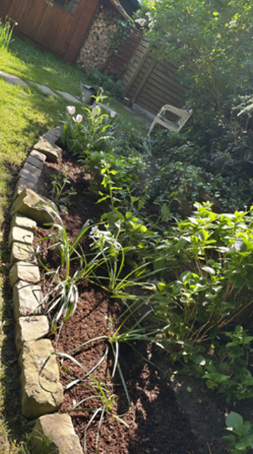 Gartenservice von Karimli Haus & Garten Service